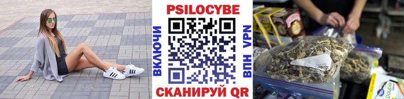сайты даркнета наркотические препараты Кувандык Галлюциногенные грибы MAGIC MUSHROOMS